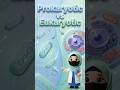 Prokaryotic vs Eukaryotic! Cells Explained🔬🌱 #biology #science #shorts