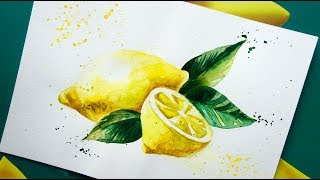 :   .    ( ) / watercolor sketch lemon