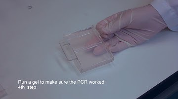 1.Introduction to DNA barcoding procedures (Spanish)