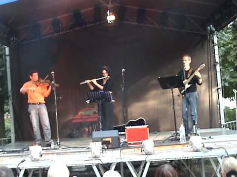 jazz roster Butterfly (sleep jigs) - Trio irlandais Hartigan