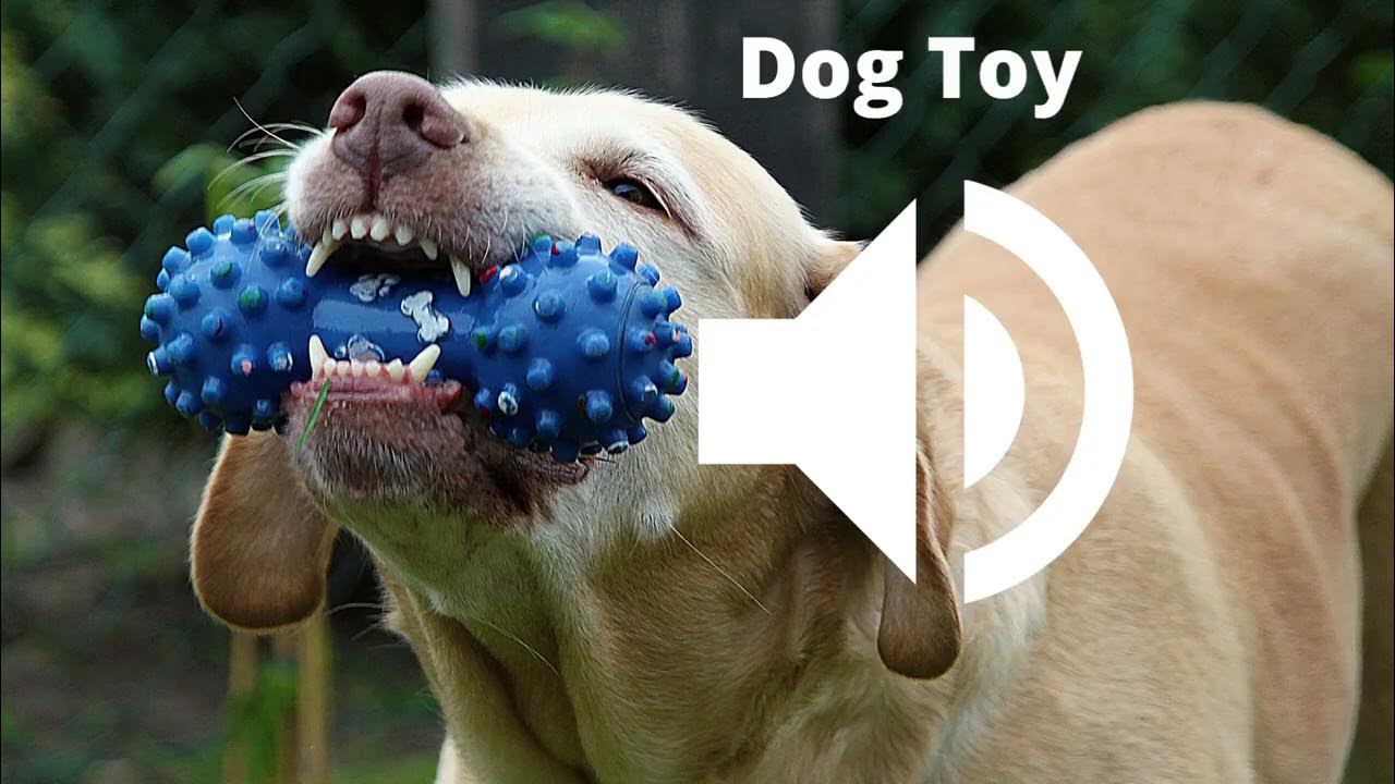 Top 5 Dogs sound effects YouTube
