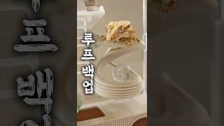 당신이 놓치면 안되는 화제의 백업! ✨️댓글 투표 참여시 추첨을 통해 선물을 드립니다 🎁