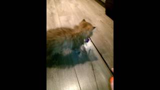 Louis And The Tickle Stick