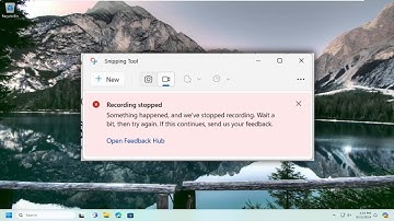 How to Fix Recording Stopped Error in the Snipping Tool [Guide]