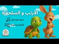 الأرنب و السلحفاة قصص أطفال قبل النوم بدون موسيقى     