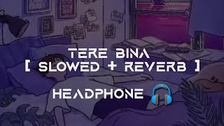 Heropanti - Tere Bina Slowed Reverb Highafeditz