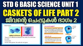 STD 6 Basic Science Unit 1|Caskets Of Life Part2|SCERT Kite Victers Class6  Basic Science Chapter1