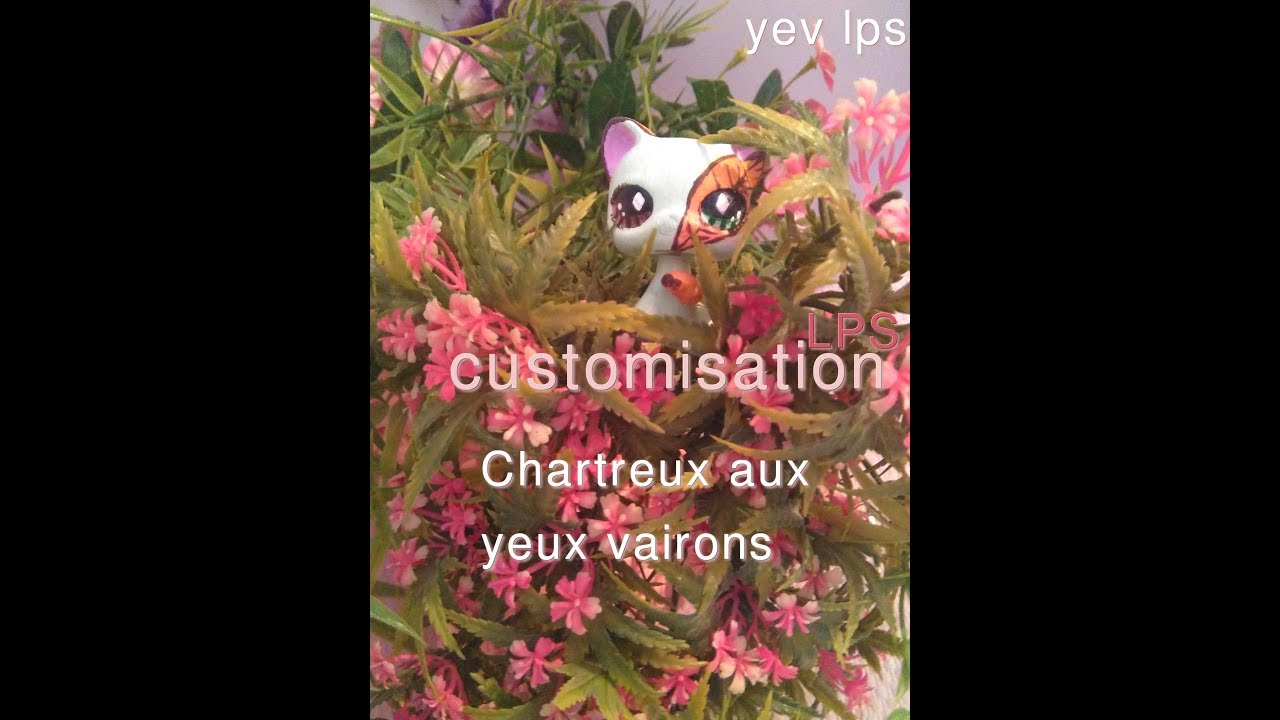 6 Custom Lps Petshop Chat Youtube