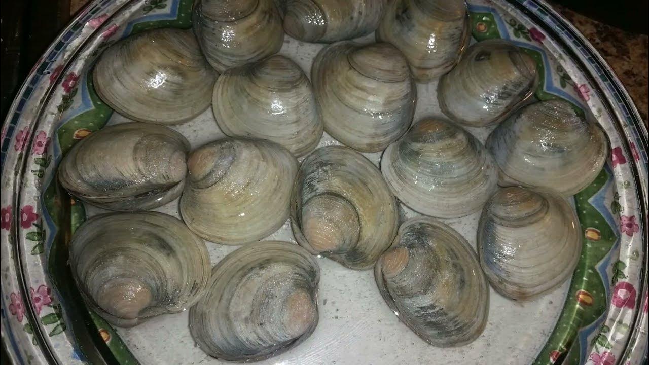 CLAMS, CLAMS, CLAMS ☺️😁☺️ costco bella fav yummy healthy seafood