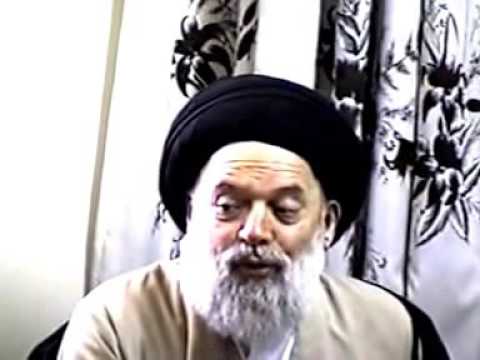 لقاء العلامة المرجع السيد محمد حسين فضل الله مع الوفد العراقي