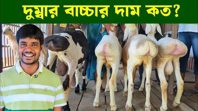 Haqiqiy cuckold porno videolar Top 10 porno filmlar