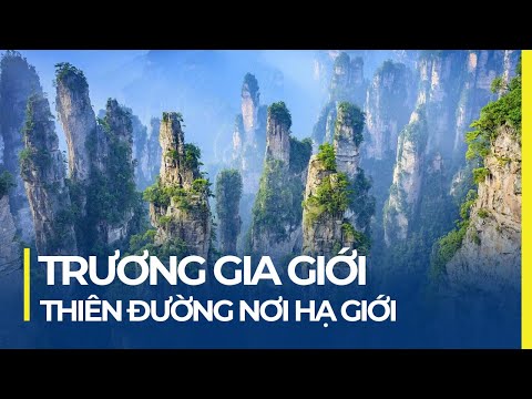 Video: Hình ảnh Địa điểm Phim ở Công viên Trung tâm