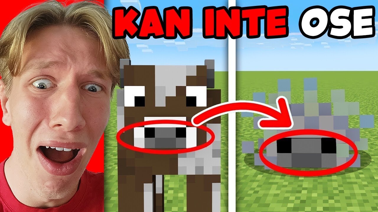 Testar Sjuka Saker Du Inte Kan Ose i Minecraft