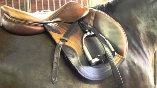 Jem CWD saddle fit july 2015