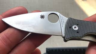 Огляд Spyderco Alcyone cts bd1 WE Fornix CPM 20CV knife