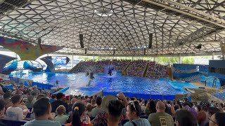 SeaWorld Orca Encounter Show (Killer Whales) Full Video