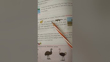Adaptation in Animals... Science... Class 4.... Chapter 8... Part 2