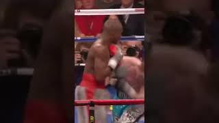 Floyd mayweather knockout shorts getmp3 pro
