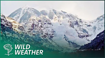 Massive Avalanche Disaster in the Canadian Rockies