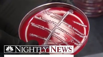 Drug-Resistant Superbugs Are ‘Fundamental Threat’ To Humans, WHO Says | NBC Nightly News
