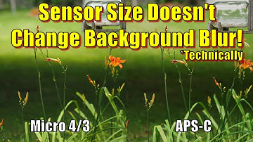 Does Sensor Size Actually Affect Background Blur / Bokeh?
