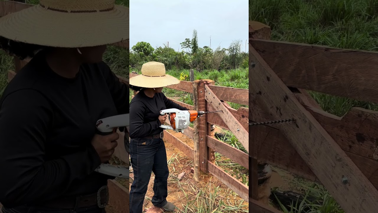 2 de outubro de 2025