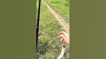 câu cá lóc ,lure cá lóc bằng nhái hơi f35 TNT