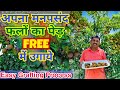 रामविलास जी से सीखिये मुफ्त में एक फल के पेड़ से हज़ारो फल के पेड़ बनाना || Grow Any Fruit Tree at Home