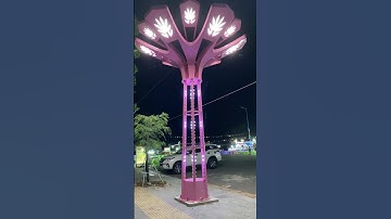 Cột Đèn Trang Trí Rgb ZALAA Chiếu Sáng Cho Dự Án Công Viên Kiểu Hoa Ly - LED Tree Lights