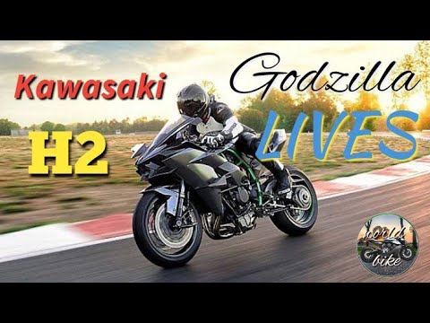 Kawasaki godzilla bike hotsell