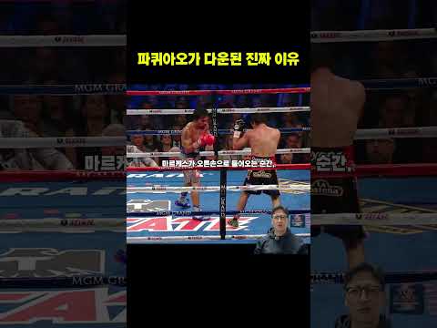 파퀴아오와 마르케스가 보여준 완벽한 수 싸움과 반격 #복싱코치 #복싱기술 #복싱전략 #40대아재복서