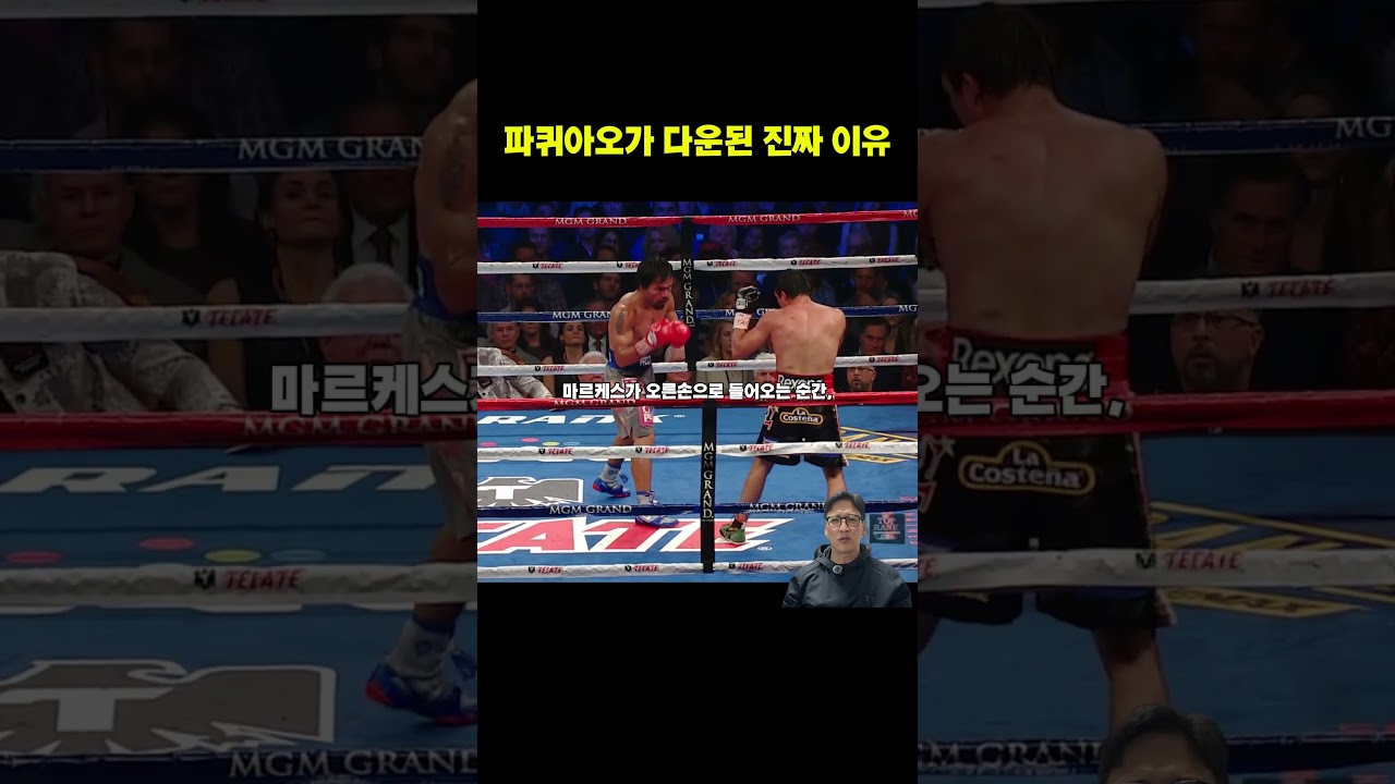 파퀴아오와 마르케스가 보여준 완벽한 수 싸움과 반격 #복싱코치 #복싱기술 #복싱전략 #40대아재복서 썸네일