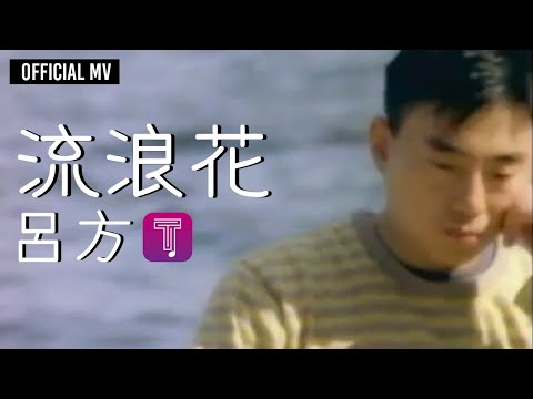 呂方 Lui Fong  -《流浪花》Official MV