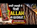 कटी लकड़ी में दिखी अल्लाह की कुदरत मुसलमानों देख कर बोले माशा अल्लाह Kati Lakdi Main Qudrat