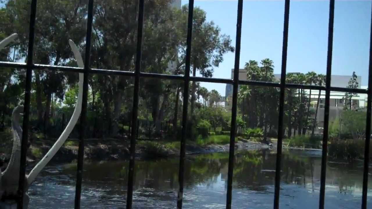 La Brea Tar Pits Video #2