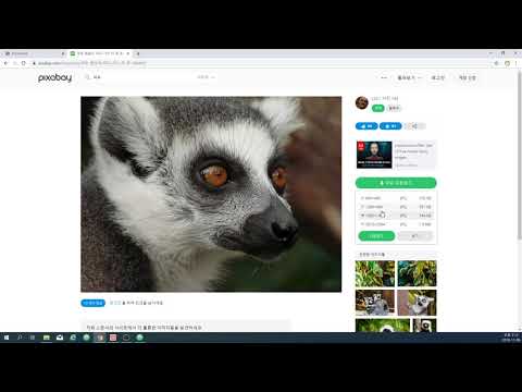초보자를 위한 HTML Tutorial 이미지태그,무료이미지 pixabay 활용(9)