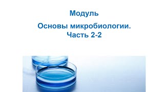 Основы микробиологии. Часть 2-2. Метаболизм прокариот. Способы существования жизни