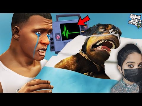 Who Kidnapped Chop ? | Franklin tries to help Chop - GTA 5 #103