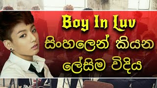 BTS Boy In Luv Sinhala Lyrics