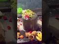 Hara hara shiva shivs❤️🔱#shiva #lordshiva #devotional #viral #trendingvideo #ytshorts