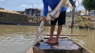 chài trúng cá sửu to lắm mọi người ơi cảm ơn mọi người rất là nhiều