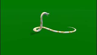 Naggin 3 | bela snake | on green screen | by Coblin vfx studio