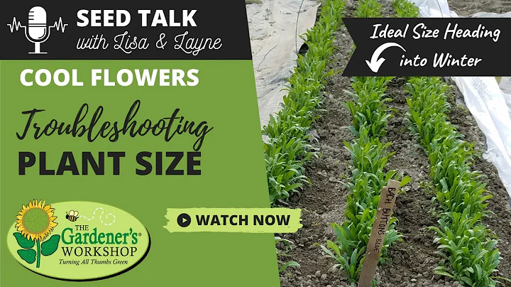 #16 - Cool Flowers - Troubleshooting Plant Size