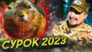 картинка: Охота на сурка 2023 ( VLOG)