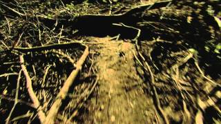 Canada 1812: Behind the Scenes-Laura Secord