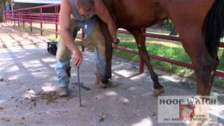 Grant Barron 2008 Mustang Makeover