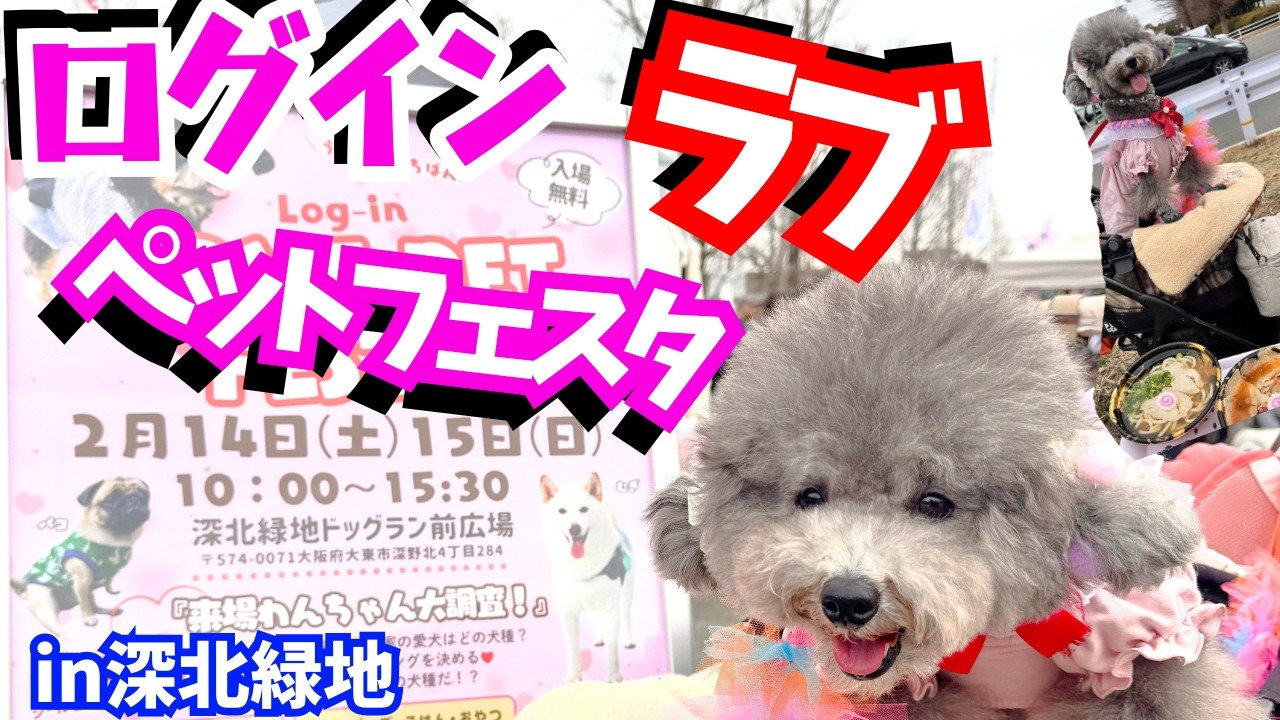 売り切れ続出！大人気犬イベントで、グルメお買い物を愛犬と満喫🐶👜🍜【ログイン ラブ ペットフェスタvol.21】大阪府営深北緑地