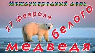 День белого медведя