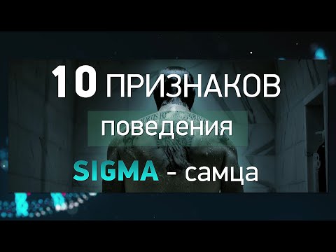 СИГМА - самец. Кто такие сигма мужчины: 10 признаков