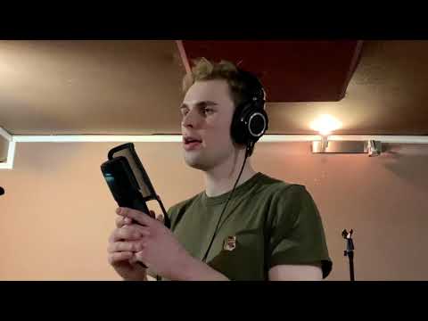 Shawn Mendes - Perfectly Wrong (Cover)